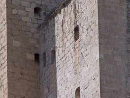 Castillo de Mula 2007